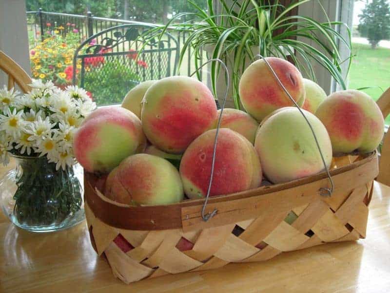 How To Make Peach Cobbler