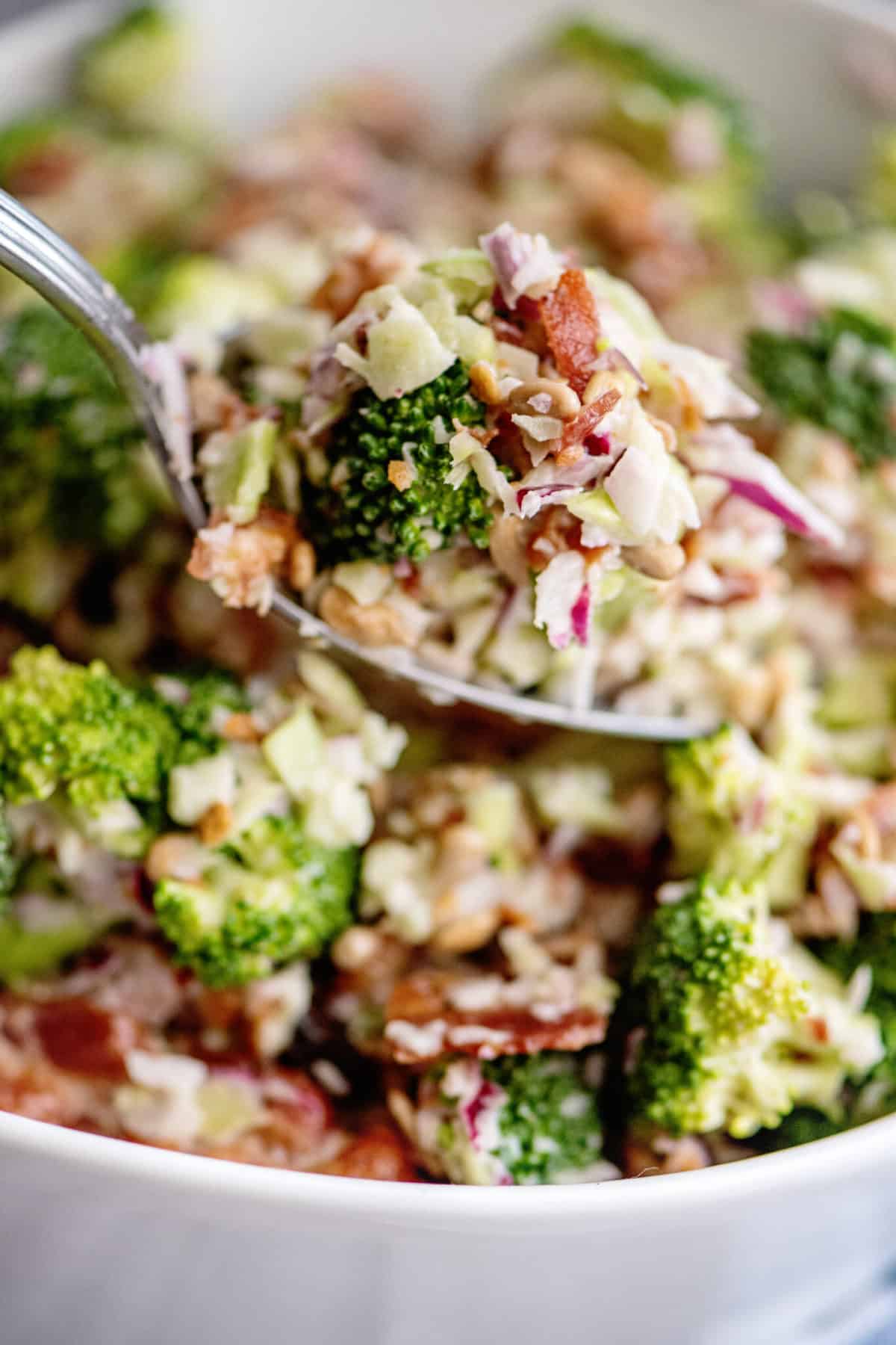 Broccoli Salad With Bacon and Raisins - Southern Plate