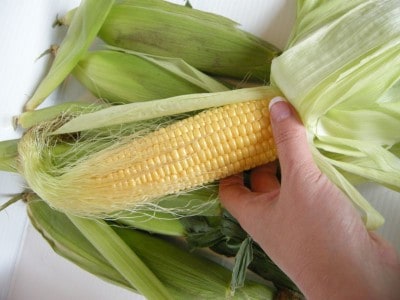 peeled back husks on an ear of corn.