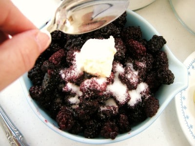 blackberry cobbler 003