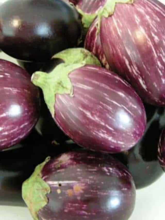 cropped-Eggplant.jpg