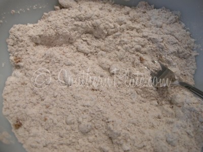 combine dry ingredients