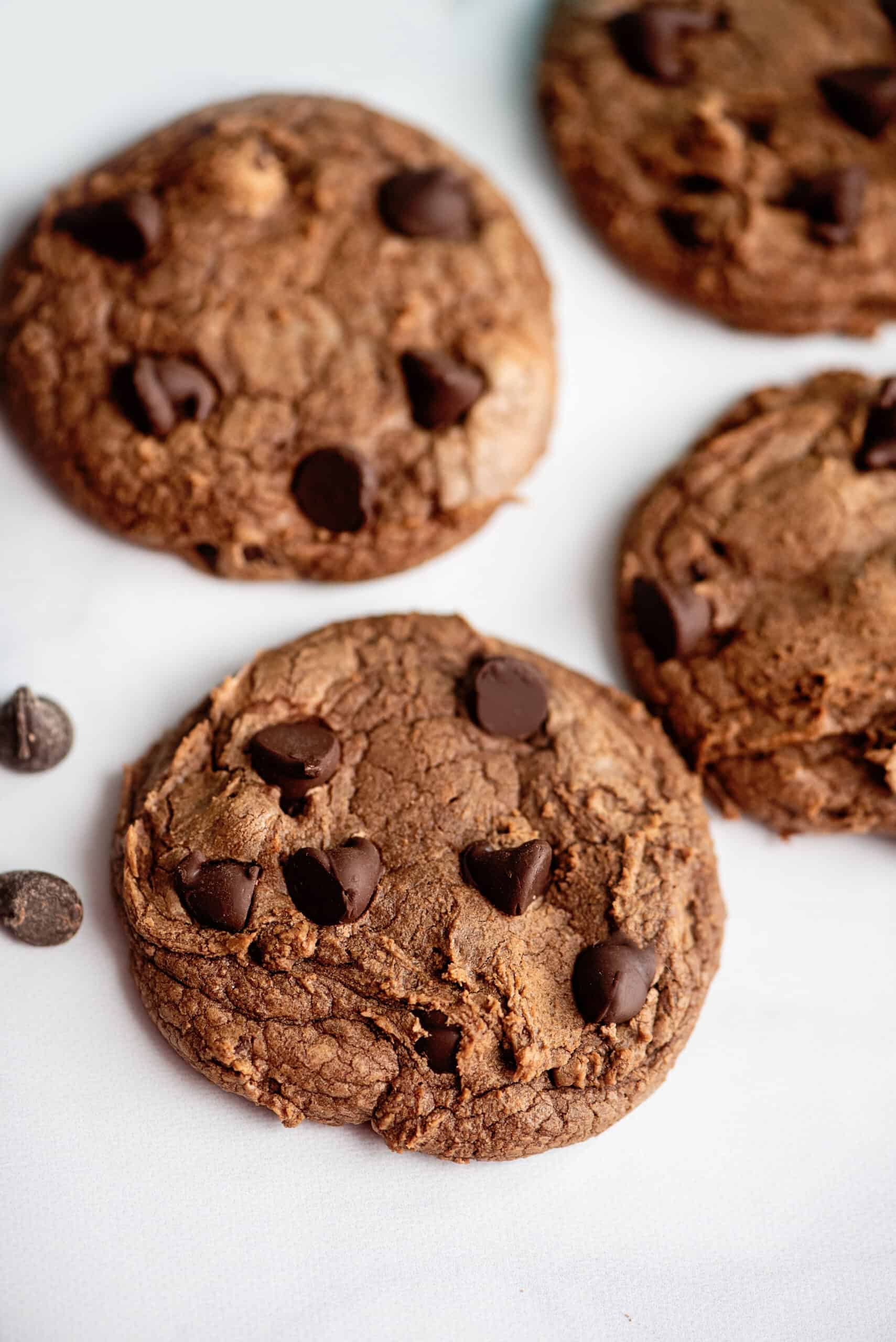 Condensed Milk Cookies (chocolate Chocolate Chip)