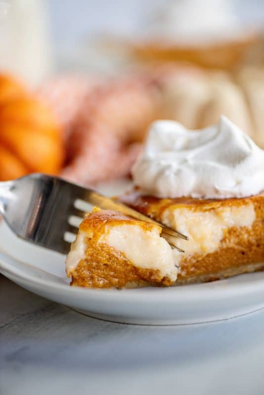 slice of pumpkin cream cheese pie