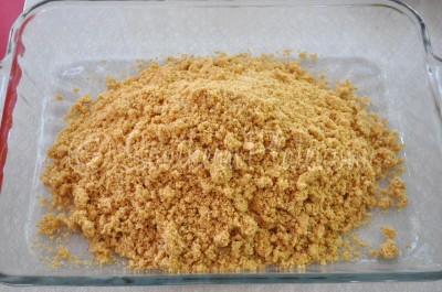 Place crumb mixture in baking dish.