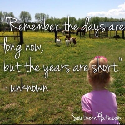 Remember the days are long now, but the years are short. unknown