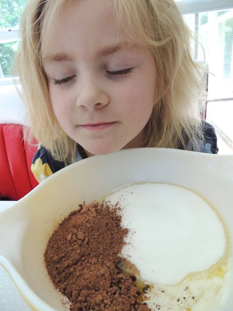 Chocolate Fried Pies (Pie Day Friday!) - Southern Plate