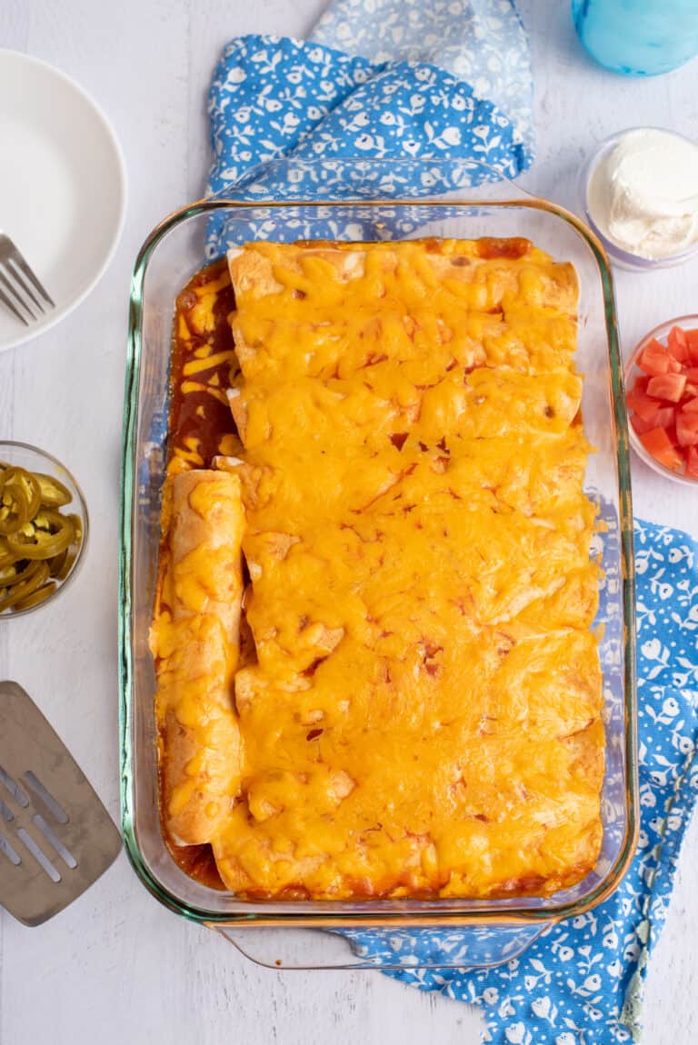 Cream Cheese Chicken Enchiladas - Southern Plate