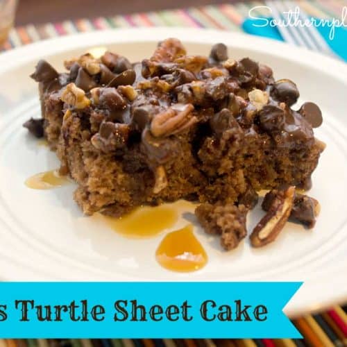 https://www.southernplate.com/wp-content/uploads/2013/10/Texas-Turtle-Sheet-Cake-500x500.jpg