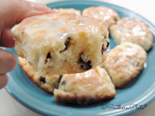 Close-up of chocolate chip biscuit.