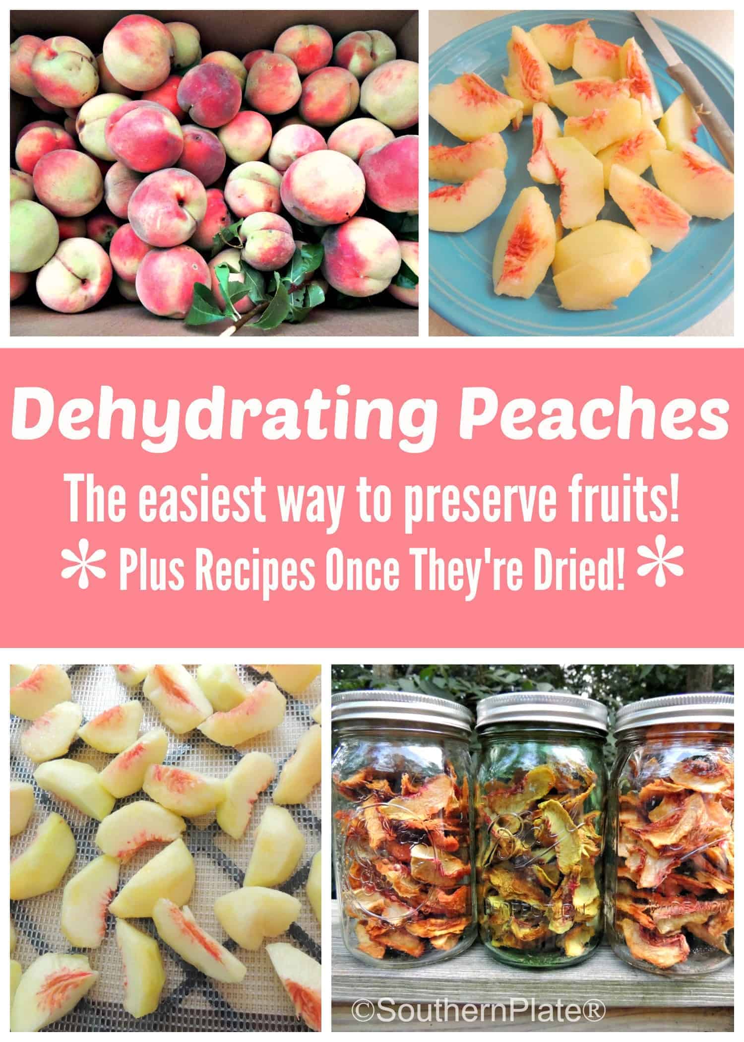 How to Dehydrate Peaches - Fresh Off The Grid