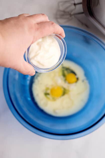 Add yogurt to mixing bowl.