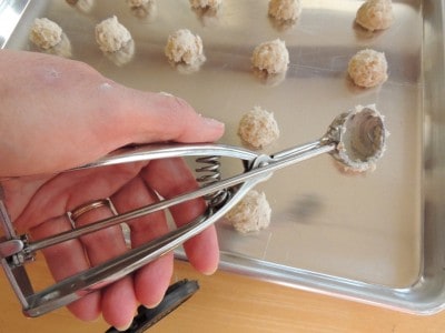 Using a small cookie dough scoop, drop balls onto ungreased cookie sheets.