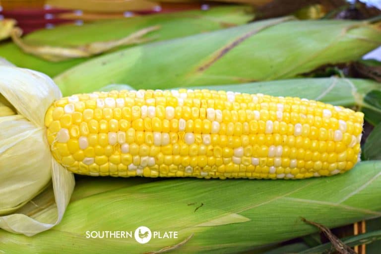 Farm Tour and Hands Off Way To Cook Corn!