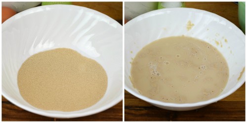 Dissolve yeast packets in bowl with water.