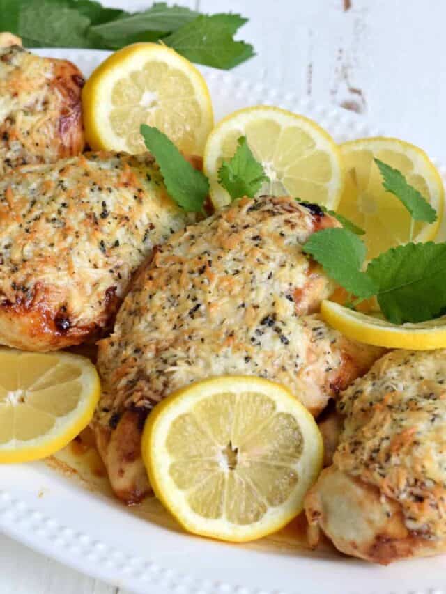 lemon parm chicken white background