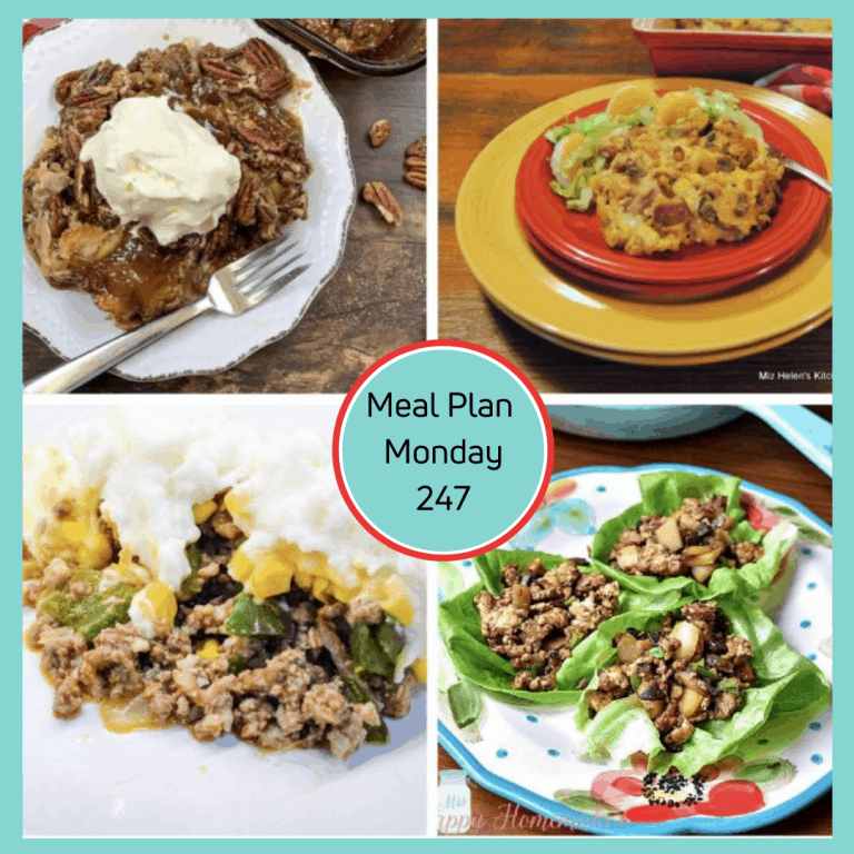 Meal Plan Mondy 247