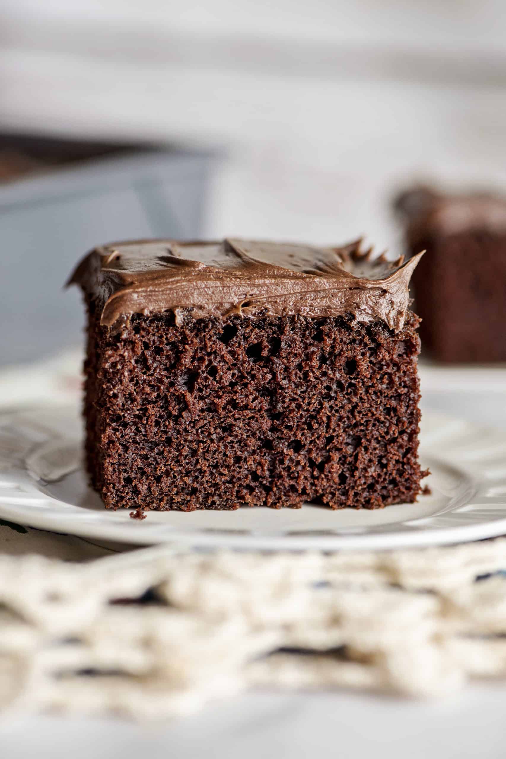 Chocolate Depression Wacky Cake - No Milk or Eggs! - Southern Plate