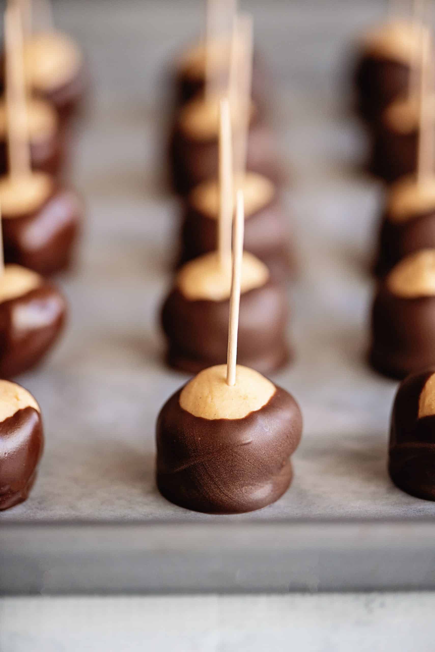 Chocolate Peanut Butter Balls (No Baking Necessary)