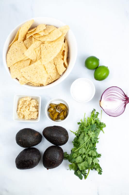 guacamole ingredients, onion, lime, garlic avocado, cilantro 