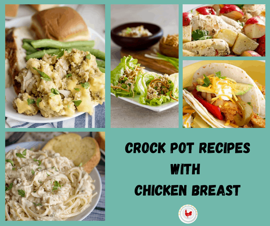 10 Crockpot Recipes with Chicken Breast - Southern Plate
