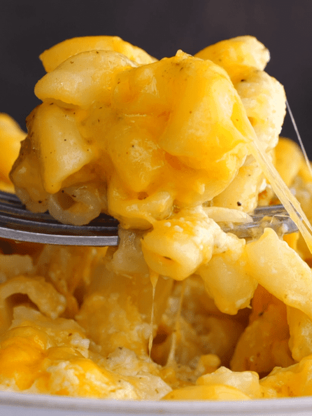 Close-up spoonful of baked mac and cheese.