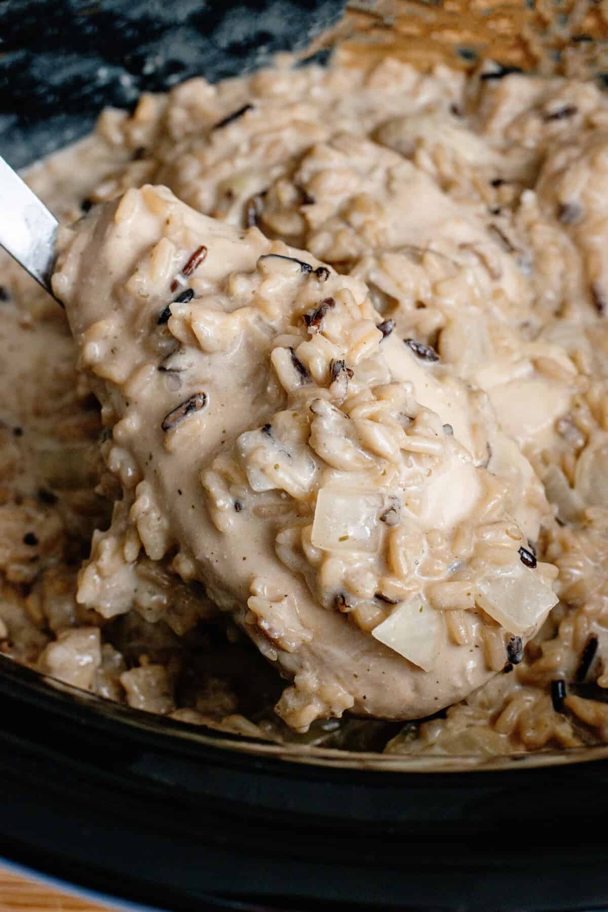 Slow Cooker Chicken and Wild Rice ready to serve