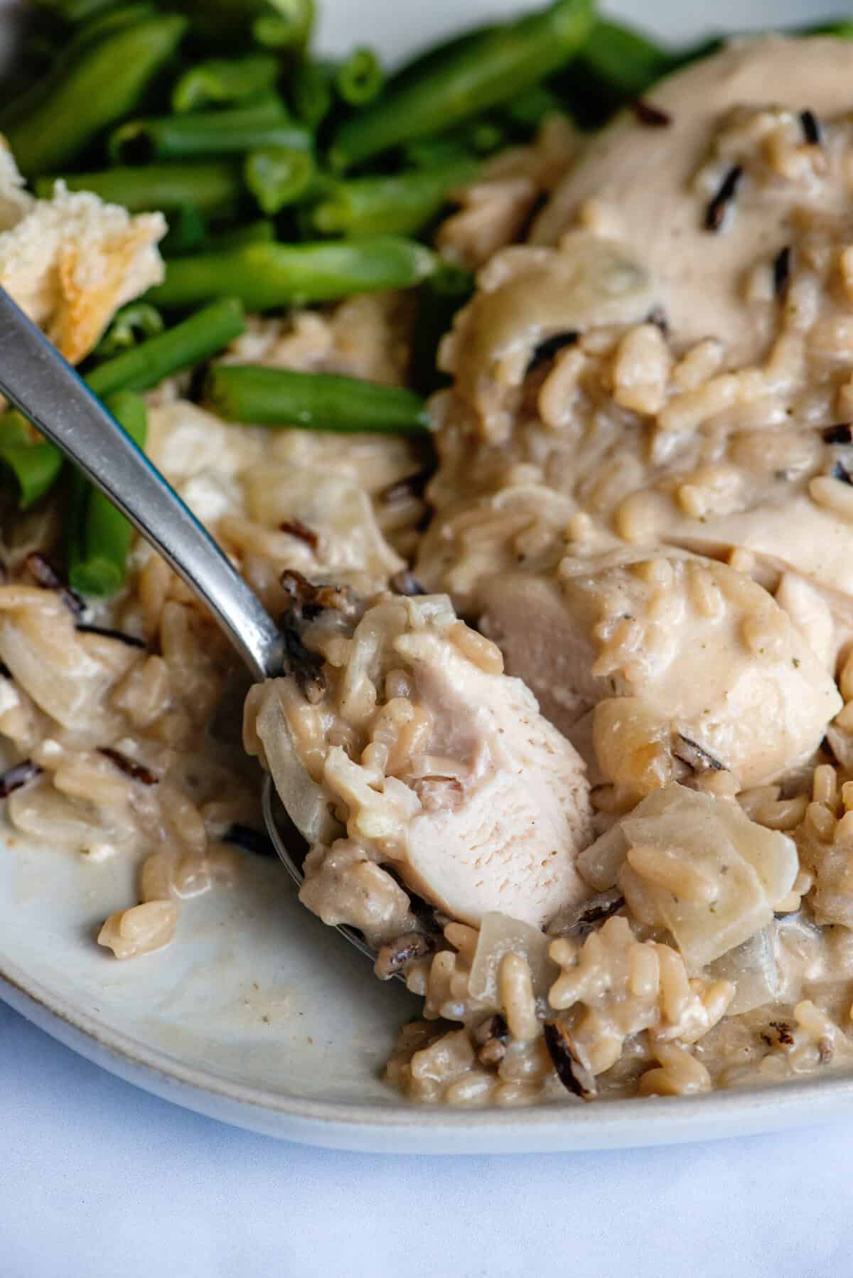 Slow Cooker Chicken and Wild rice ready to eat