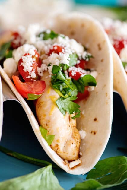 Close-up of Greek chicken taco.