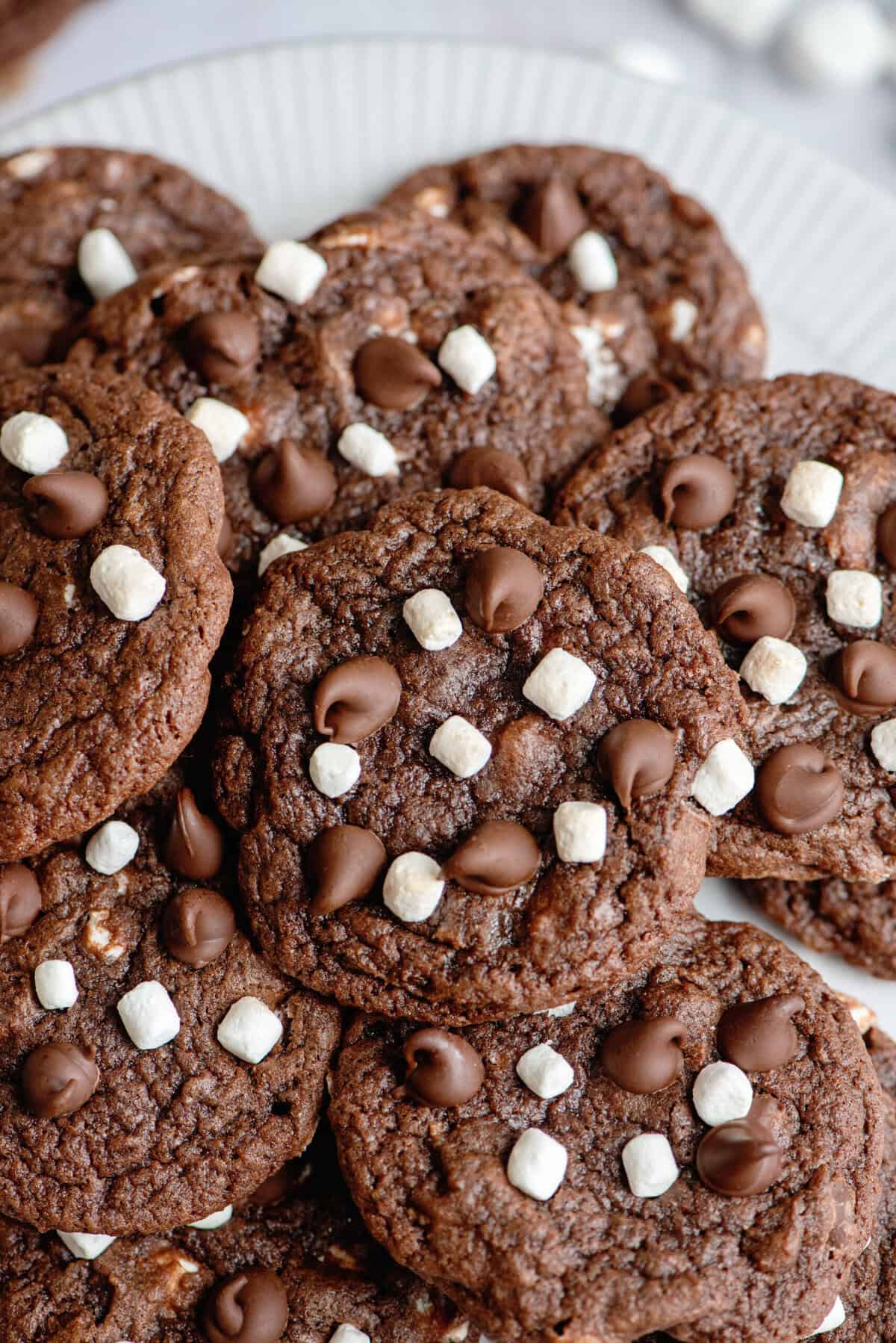 Hot Chocolate Cookies