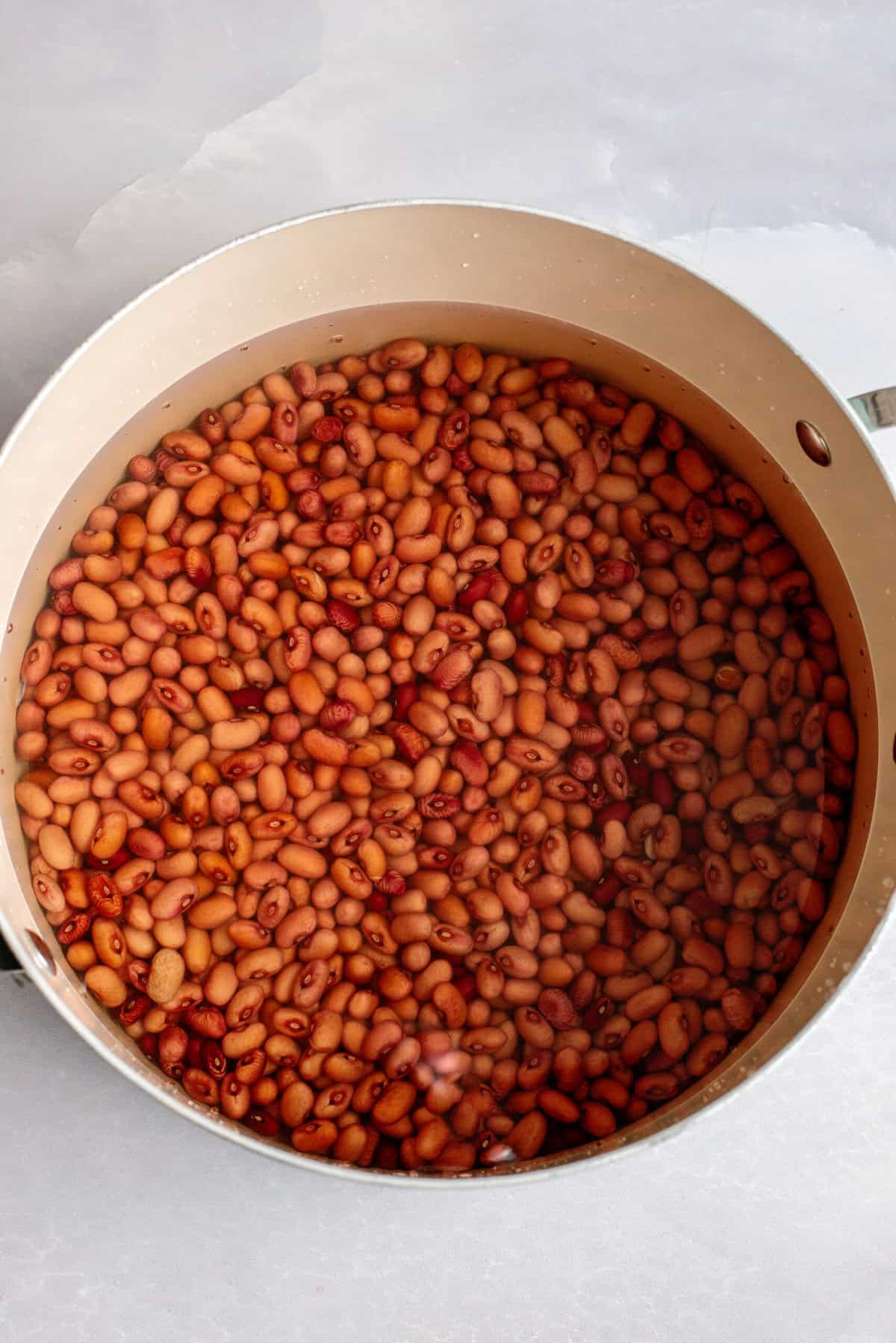 Add soaked beans into a stock pot.