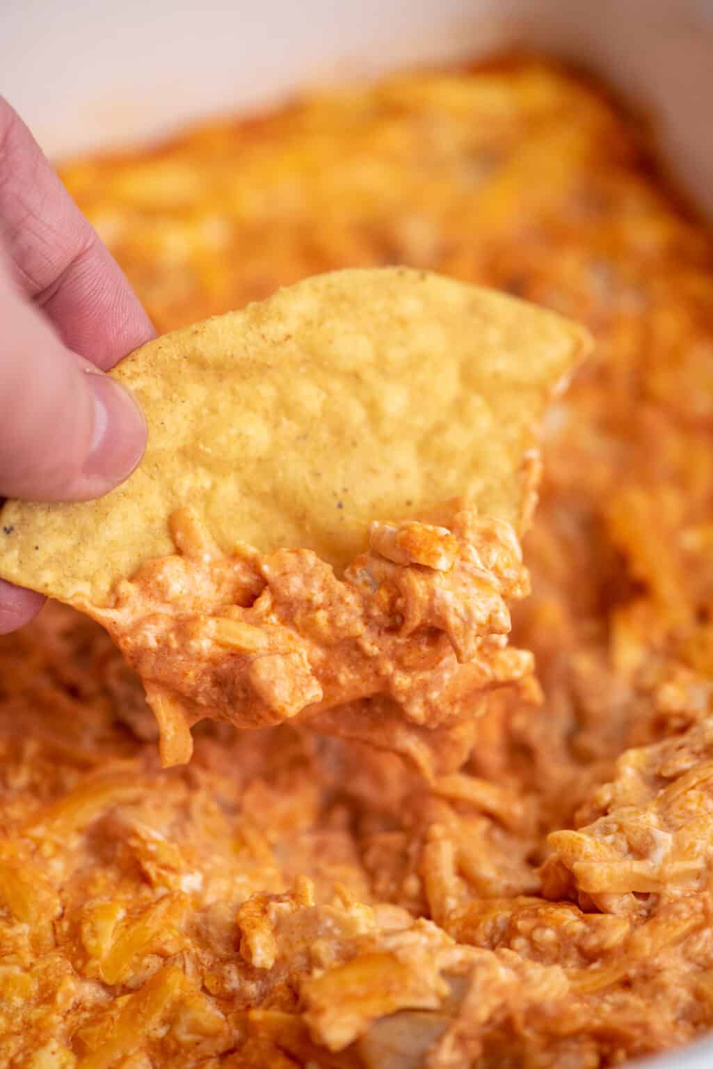 easy buffalo chicken dip