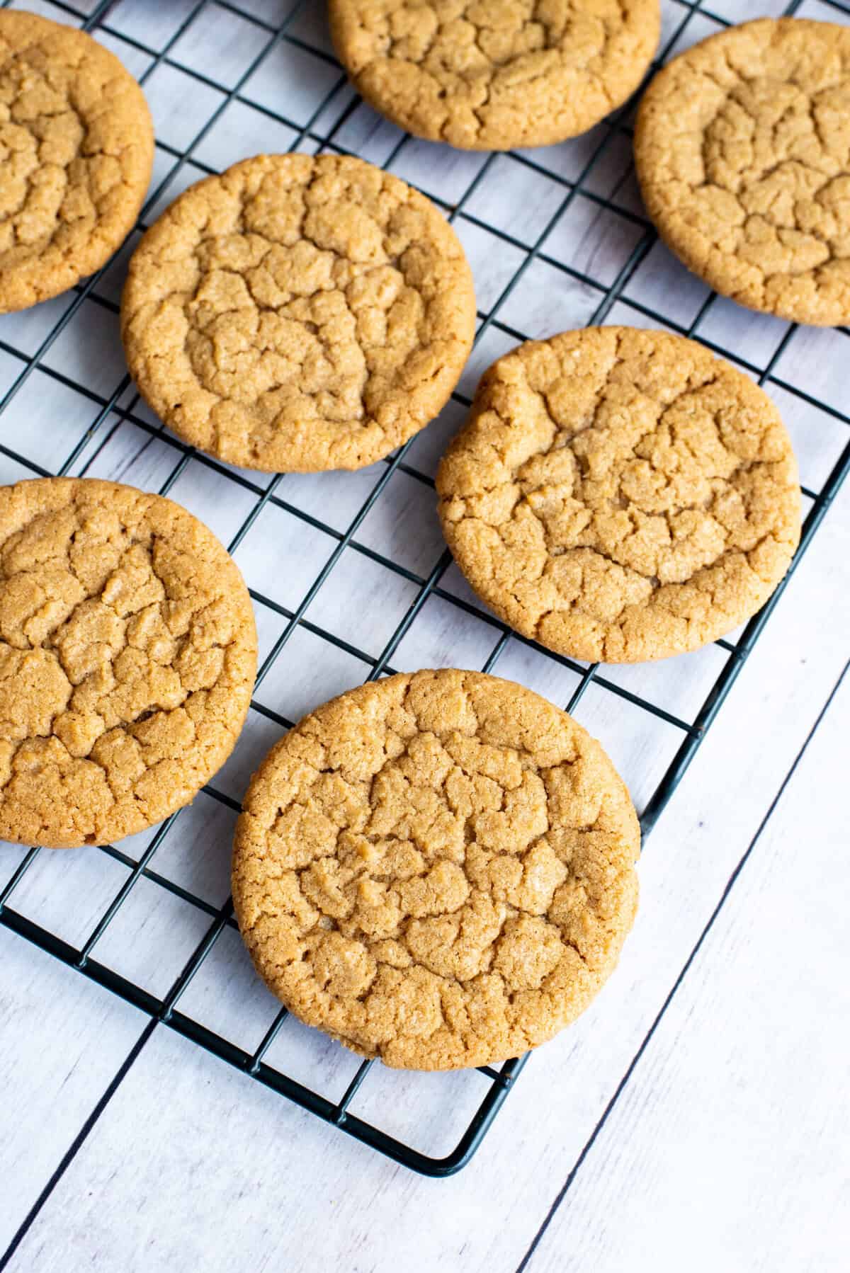 cool cookie butter sandwich cookies