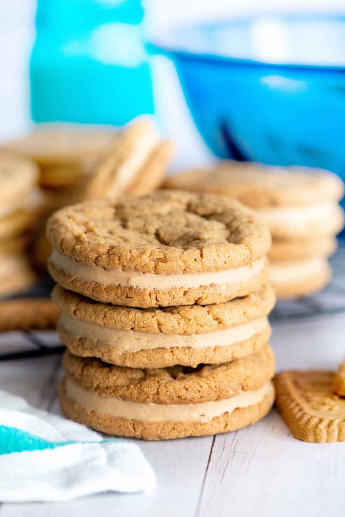 cookie butter sandwich cookies