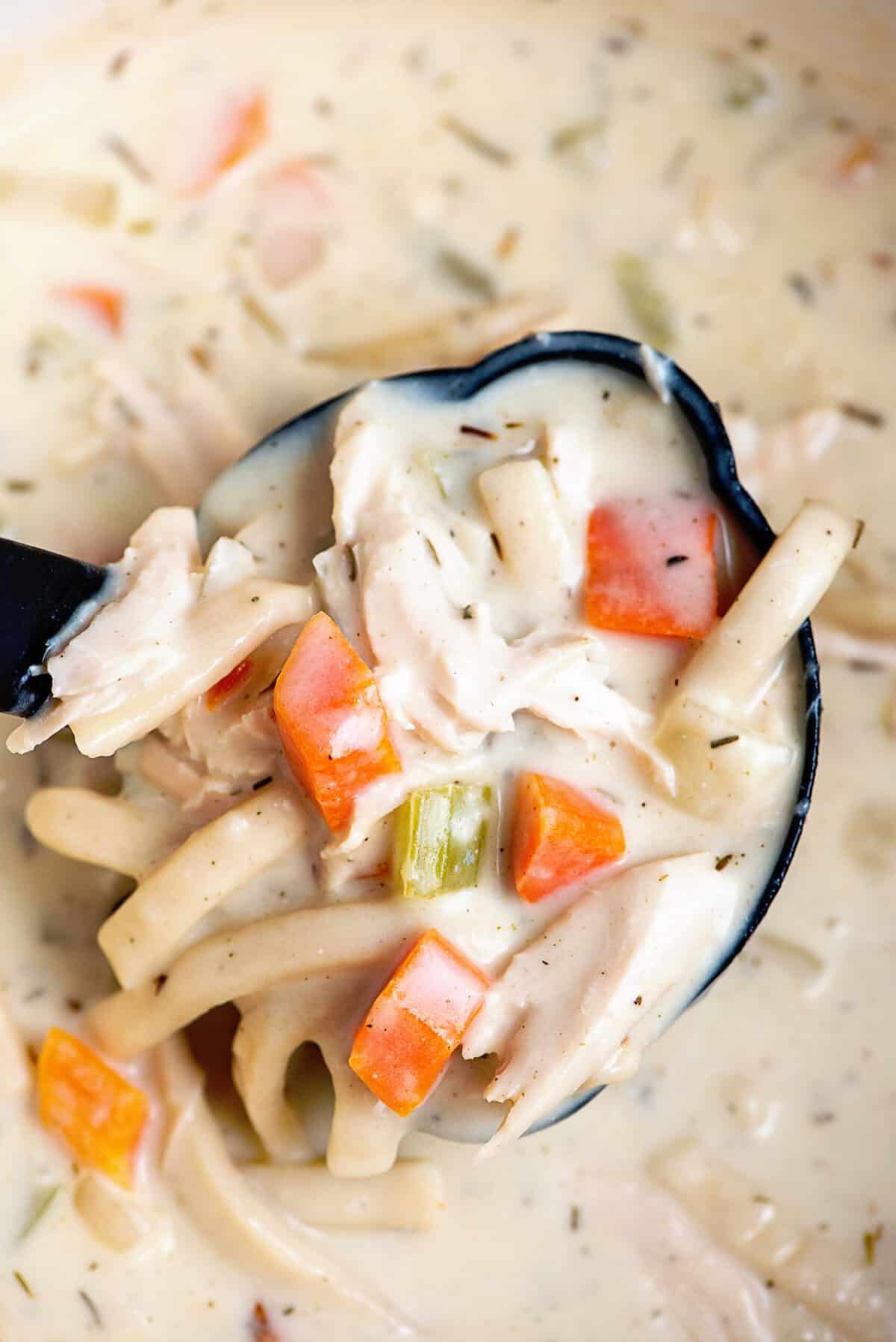 Creamy Chicken Noodle Soup ready to serve