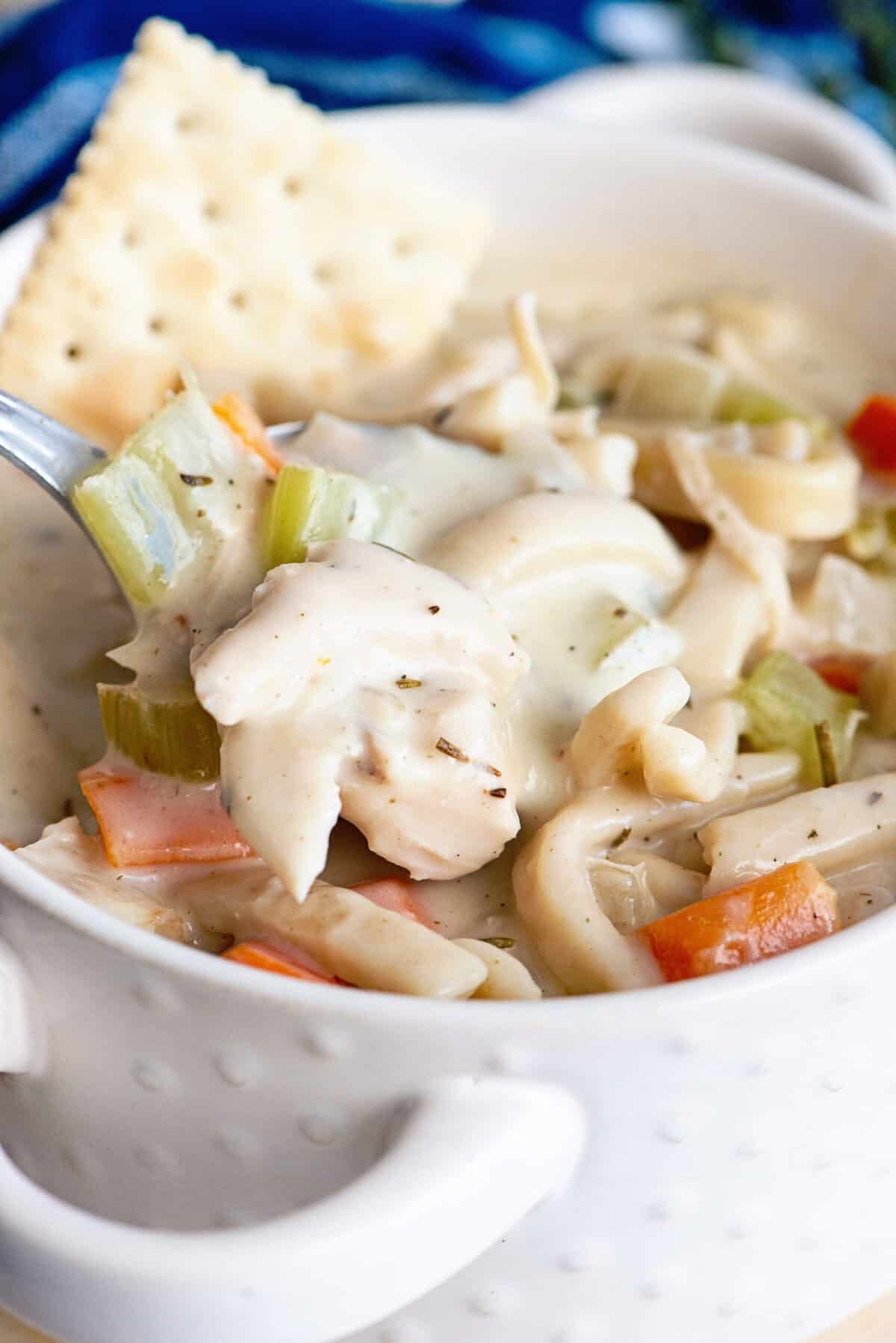 Creamy Chicken Noodle Soup close up