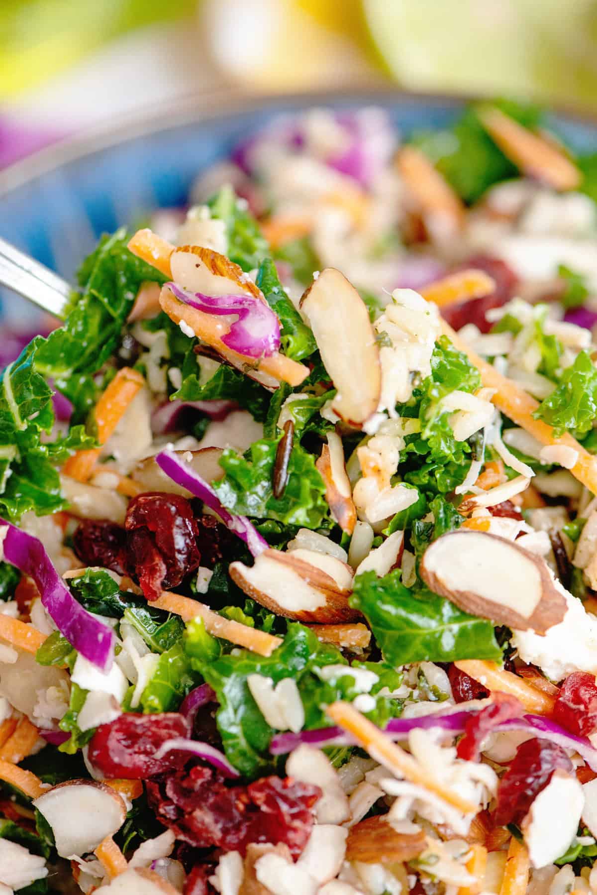 Copycat Cubby's Chicken, Wild Rice and Kale Salad close up 