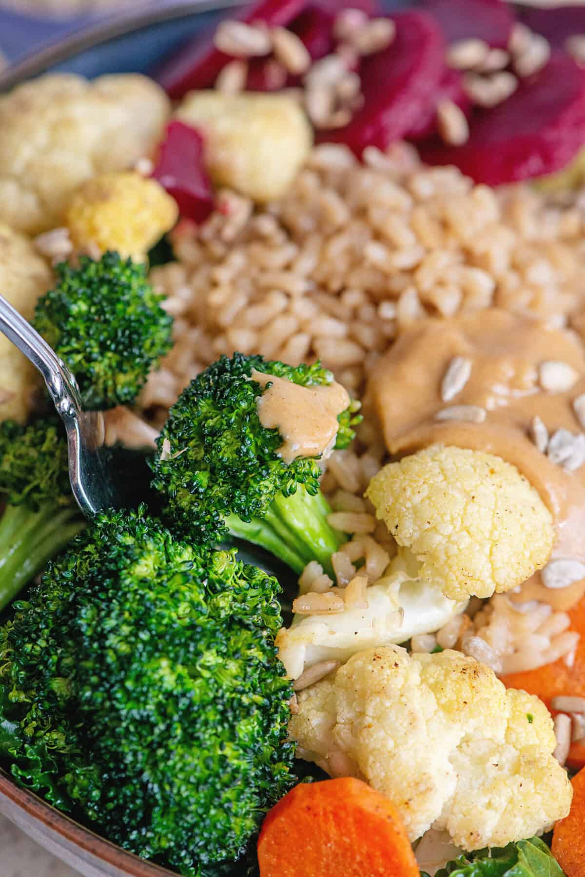 A close-up of the veggie bowl showing the details of fresh vegetables, rice, and peanut dressing.